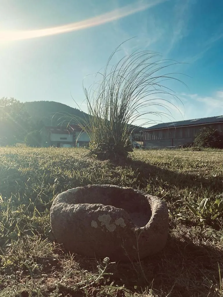 Appartement La Pierre Des Volcans Chaleureux Calme Champetre Aydat France